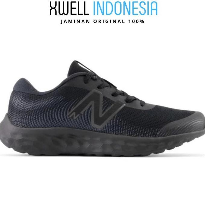 Sepatu Lari Anak New Balance 520 v8 Original GP520BB8