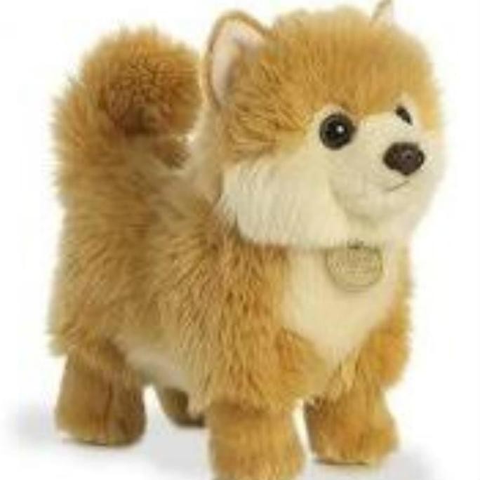 PROMO - Boneka Hewan Anjing Pom Lucu (Pomeranian Dog Stuffed Animal)