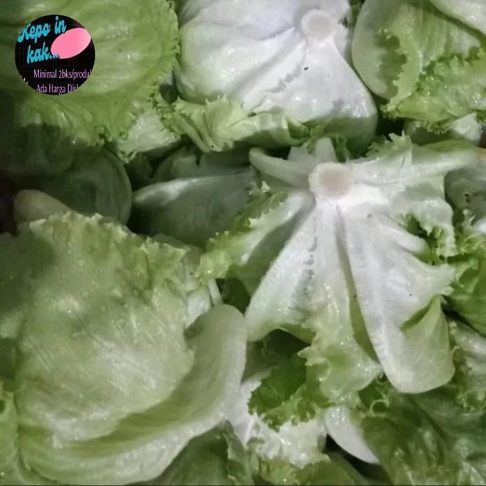 LS Letuce Head Sayuran Segar Fresh