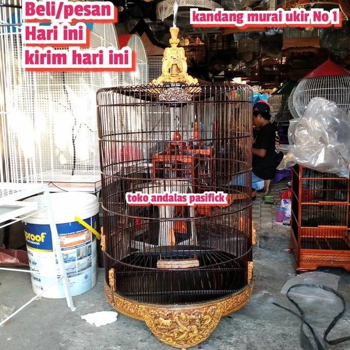 NEW kandang burung murai no 3/kandang murai no 3 ukir viber/kandang murai
