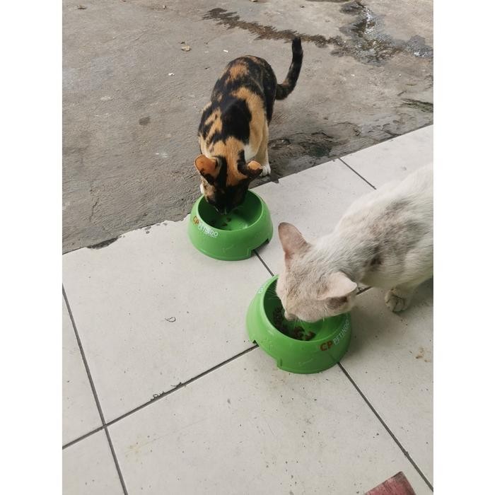 

STID Makanan Sedekah Street Feeding Kucing Anjing Liar