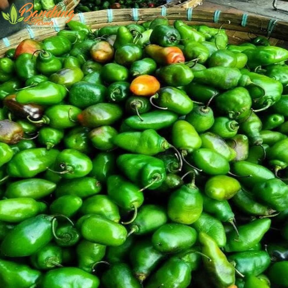 

Aman Terbaik Cabe Gendot Bandung 250 Gr Fresh