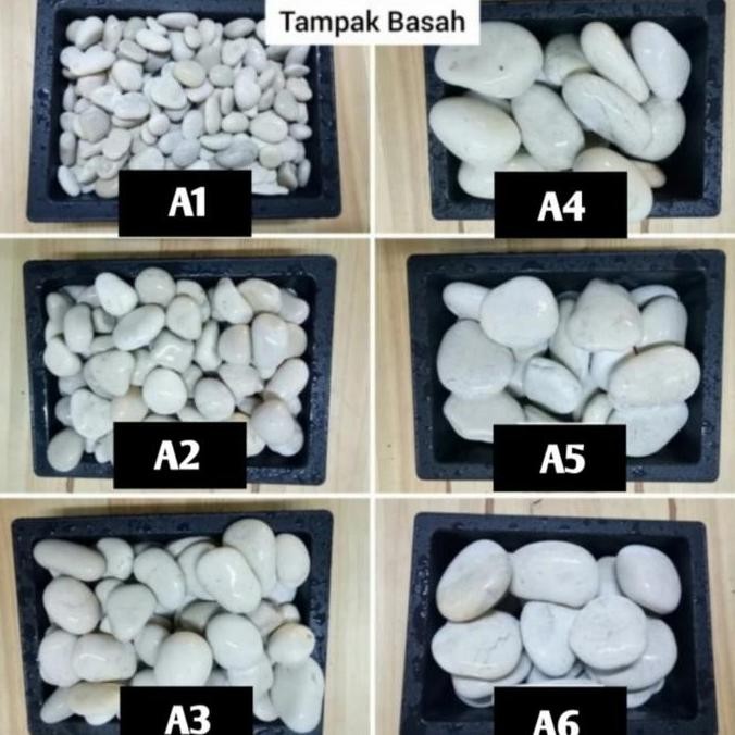 batu koral pancawarna/batu koral putih/ batu hias