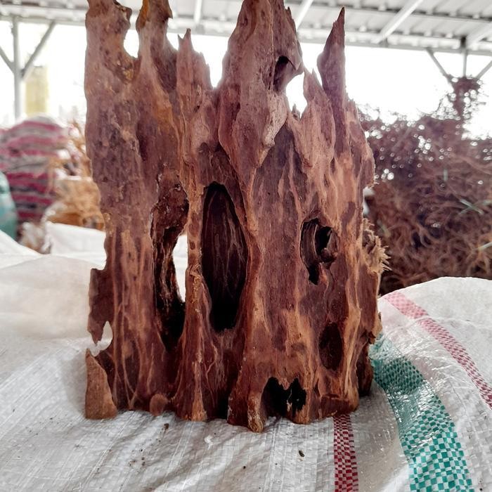 RAS kayu rentek aquascape size L dan aquarium