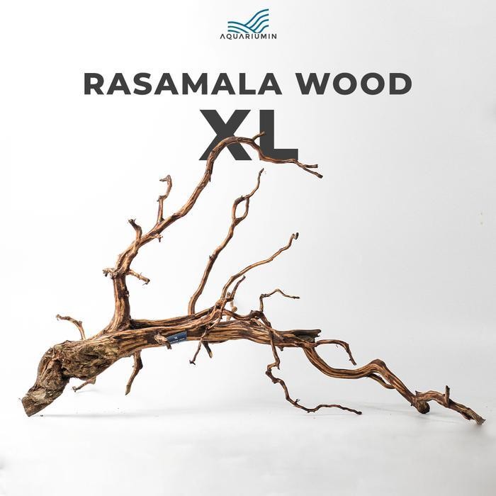 RAS Akar Kayu Rasamala Size XL Aquarium / Aquascape