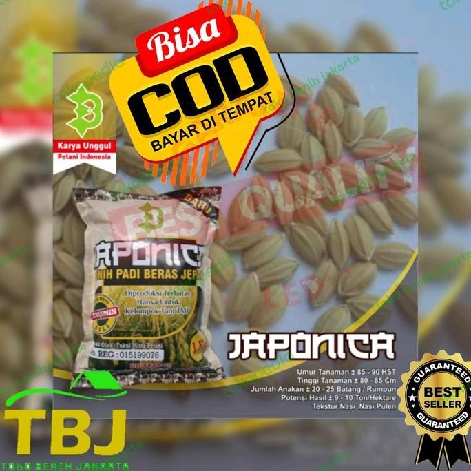Benih Padi Japonica / Jepang Original PS