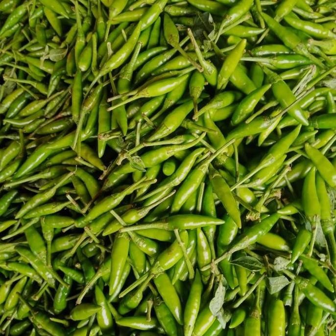 

Cabe Rawit ijo 1-2 kg fresh Cabai Rawet Lombok ipret 500 gram