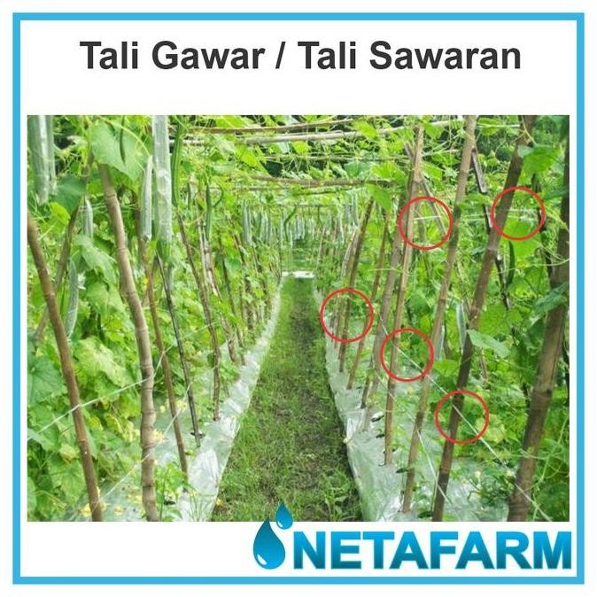 

Tali Gawar / Tali Salaran Untuk Tanaman Pertanian ( Per 1 Roll )