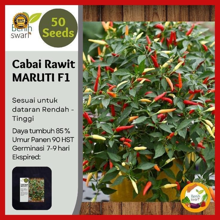 (Termurah) Isi 50 Butir Benih Cabai / Cabe Rawit Maruti F1 Bestseller