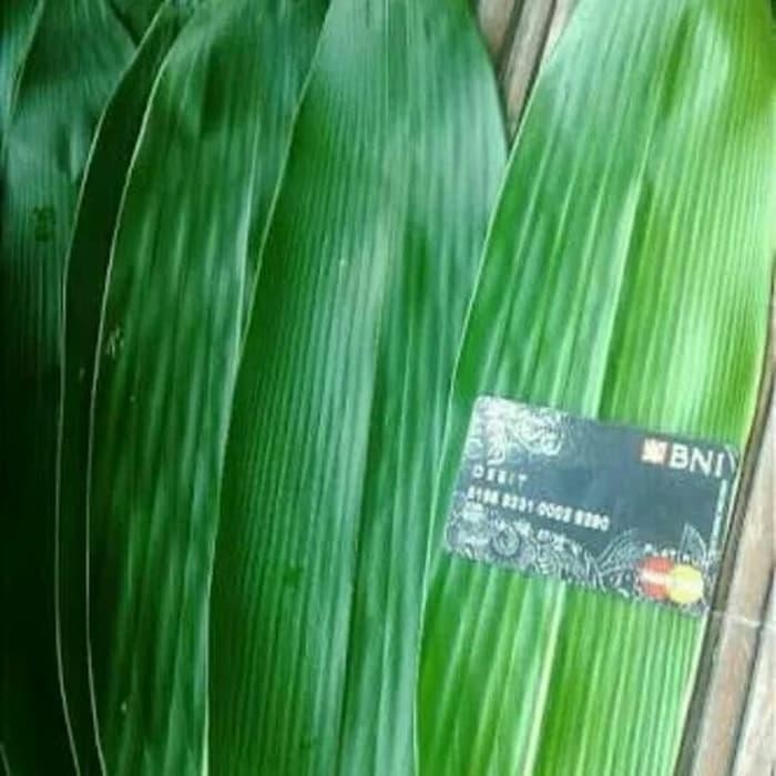 

HS ready DAUN BAMBU BAHAN BUNGKUS BACANG DAN OBAT HERBAL