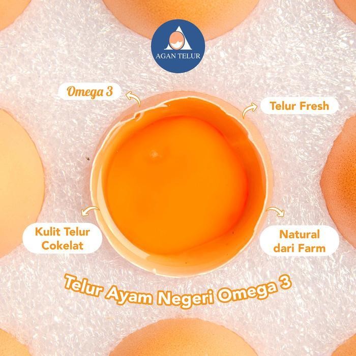 

FP Telur Omega 3 Per 30 Butir