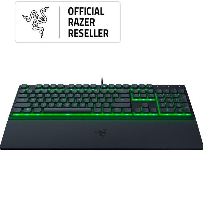 Razer Deathadder Essential + Razer Ornata V3x Bundle