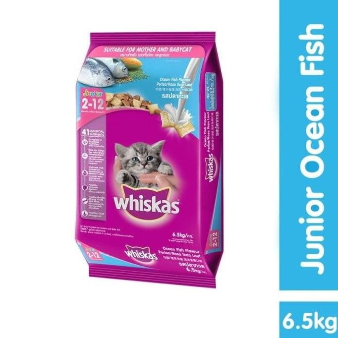 Terbaik Whiskas Junior Ocean Fish With Milk 6,5Kg Dry Food / Makanan Kitten 100% Ori