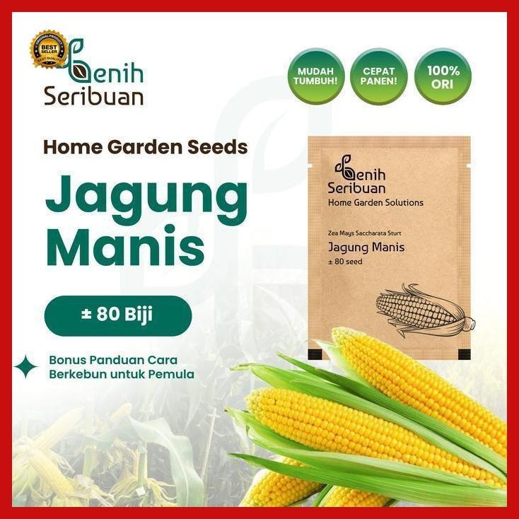 (Termurah) Benih Jagung Manis Unggul - Benih Sayuran Seribuan Bestseller