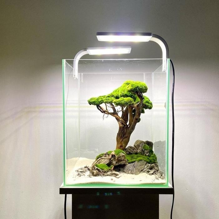 RA Aquascape mini bonsai fullset khusus gojek instan