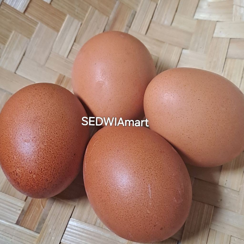 

Telur Ayam Negeri 1 Kg (1000 gr) Berkualitas