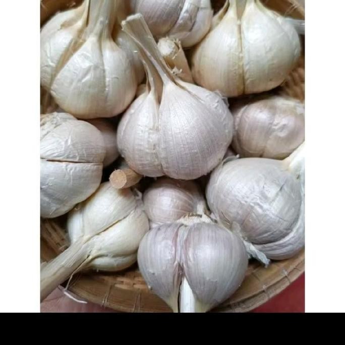 

JR26 Bawang kating bersih berat 500gram