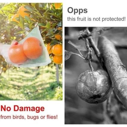 Promo Cod 100Pcs/200Pcs  Fruit Cover/Pembungkus Buah/Fruit Cover Anti Serangga/Kantong Jaring Pembun