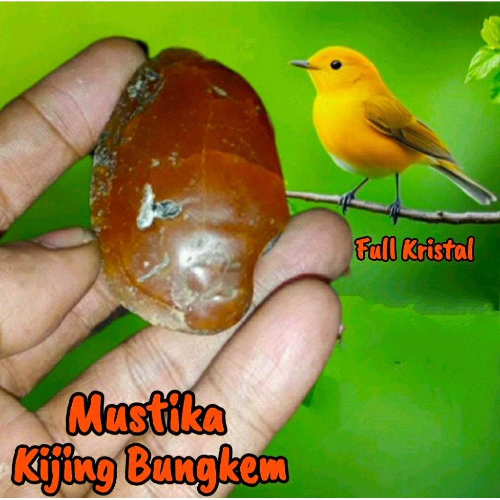 BATU MOESTIKA KIJING BUNGKEM_POSIL KIJING BUNGKEM FULL KRISTAL