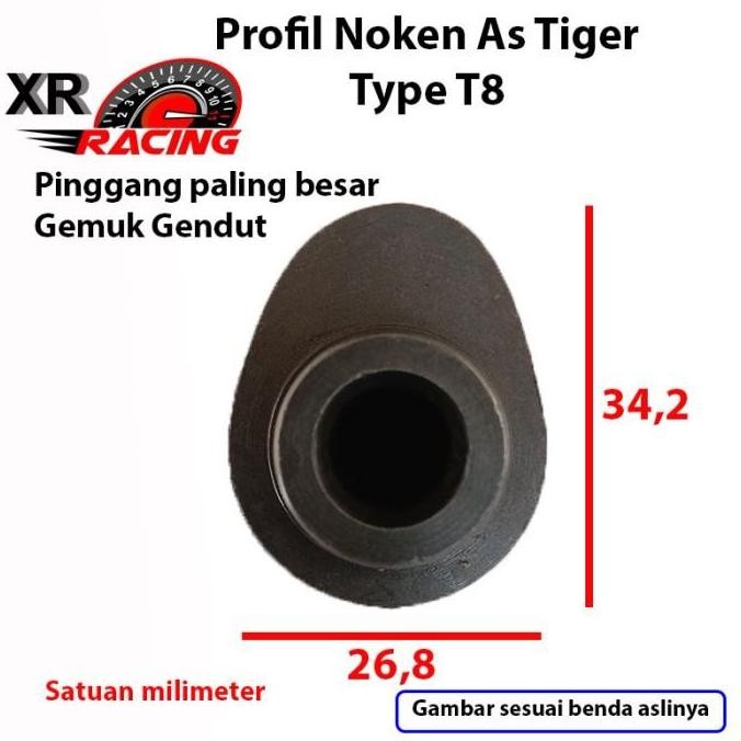 (Best) Noken As Racing Tiger XR T8 dan RRA Tiger PNP Tiger Megapro GL