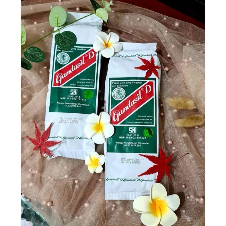 Promo Cod Gandasil B Dan D Kemasan 100Gram 500Gram Pupuk Tanaman Daun Dan Buah ...