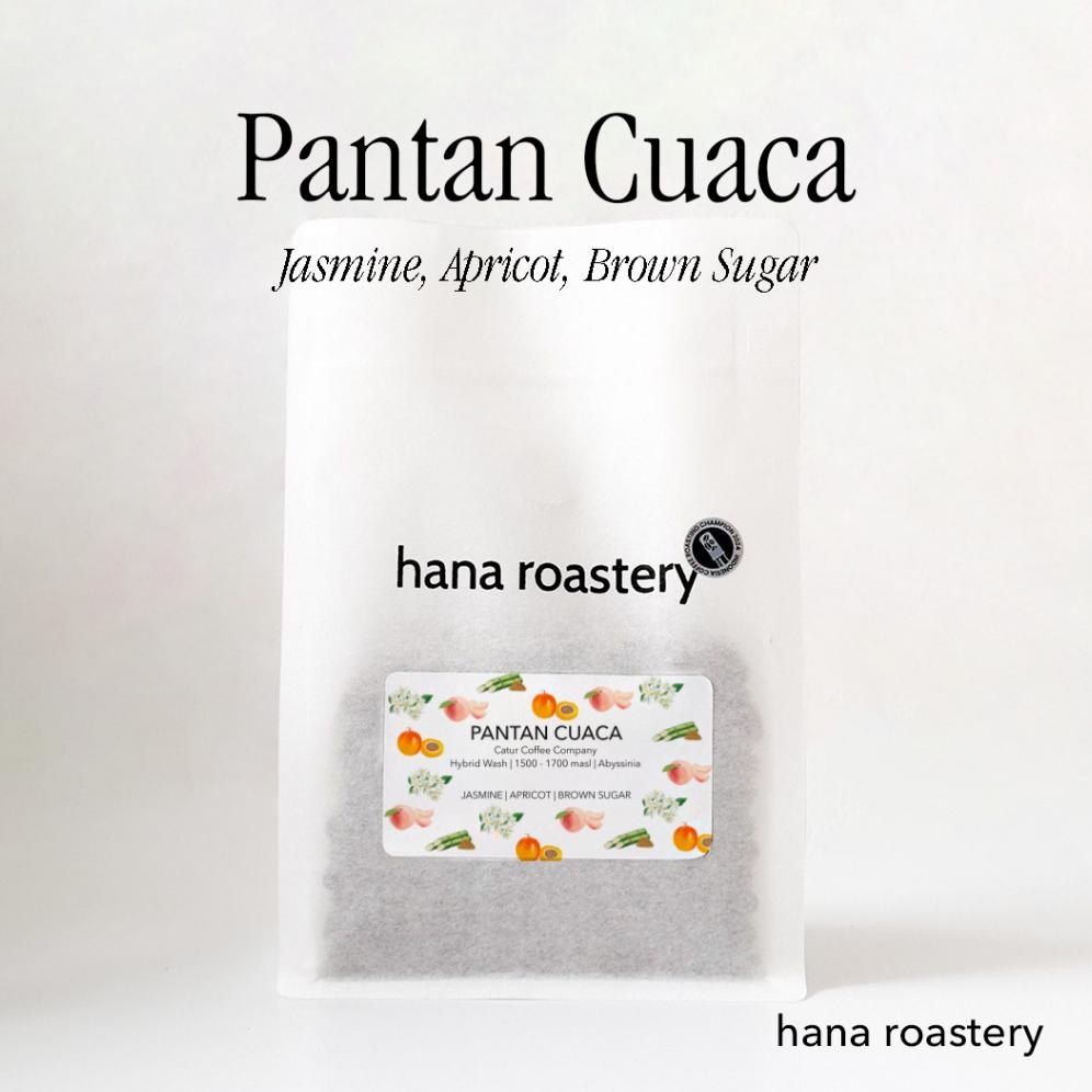 

relaydasbord - senja pantan cuaca floral apricot - specialty arabika filter coffee hana roastery