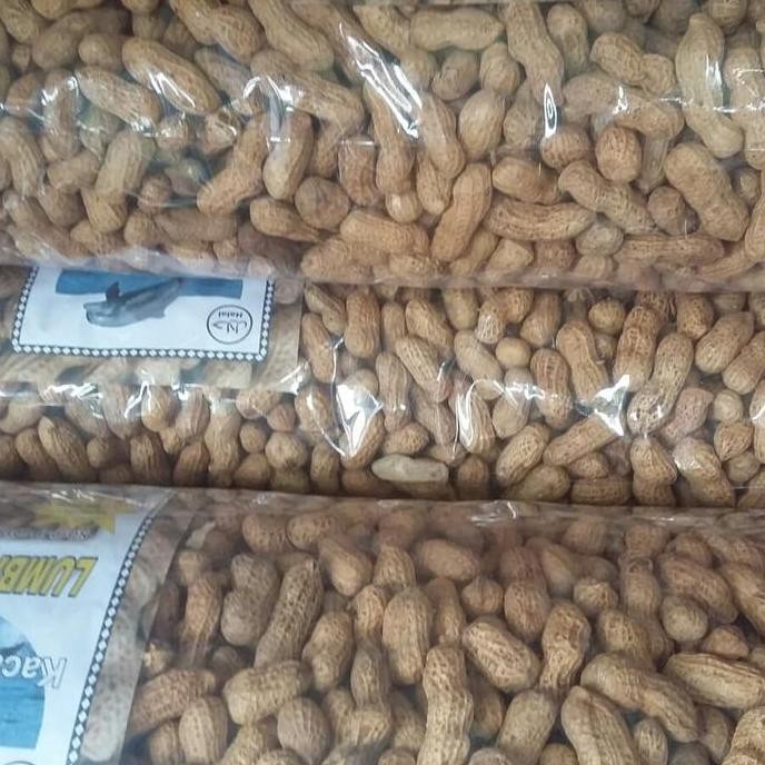 New Kacang kulit Sangrai 1Kg per ball