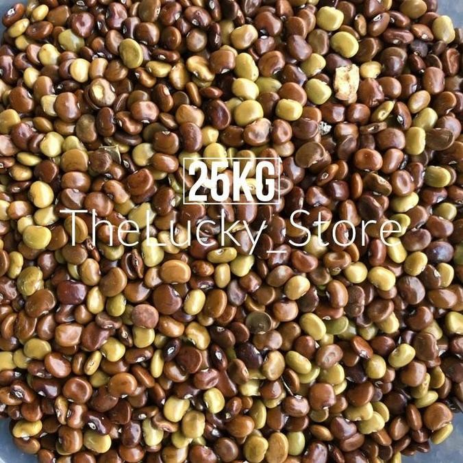 Benih Bibit Tanaman Biji Kacangan CC Calopogonium Caeruleum 25kg
