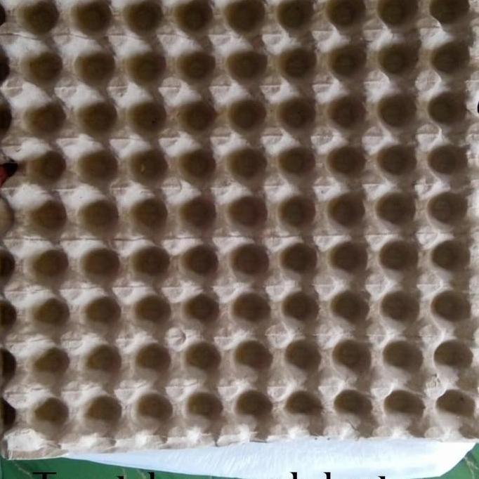 tray puyuh karton/tempat telur puyuh karton LAT