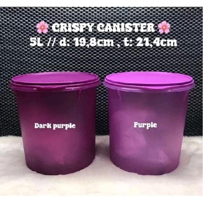 PROMO - 1pc CRISPYCANISTER 5L TUPPERWARE TOPLES TUPPERWARE/ ANNE AVANTIE tempat kerupuk uk 5L Tupper