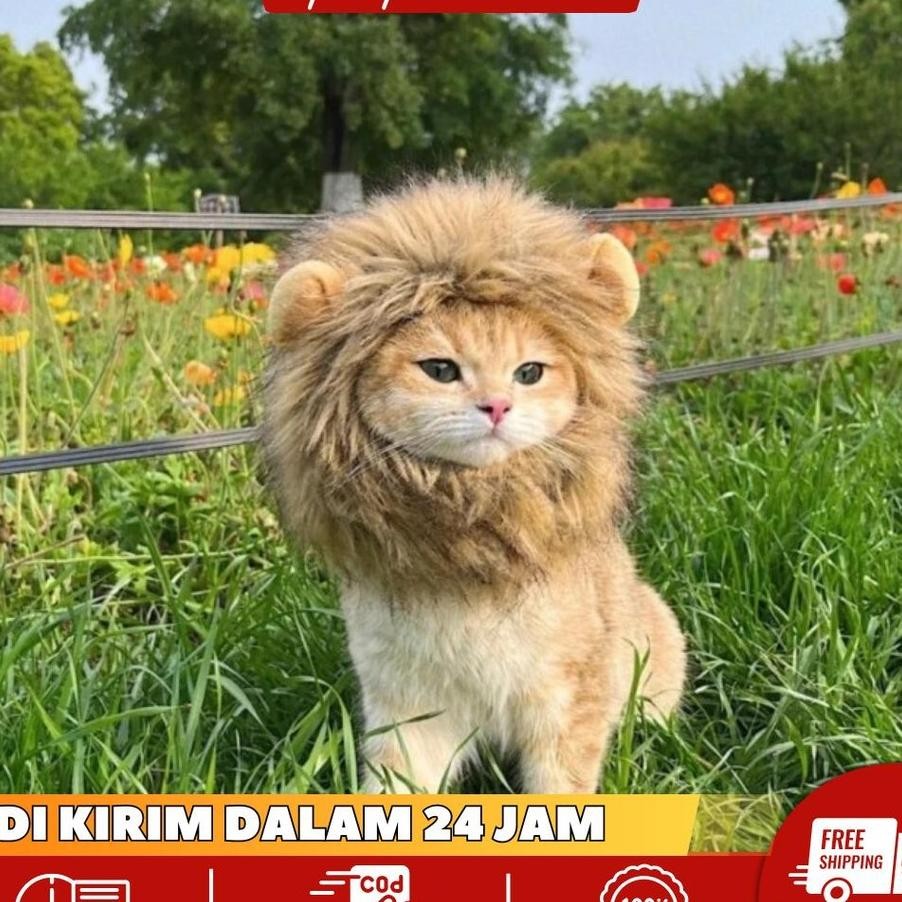 Affiliate Pawpedia Topi Singa Bear Beruang Panda Pet Cat Dog Hat Bunny Topi Beruang Untuk Anjing Kuc