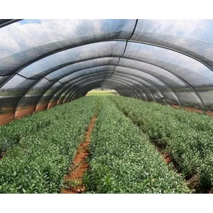 PROMO!!! Paranet Meteran 75% Hitam HDPE Lebar 3 Meter