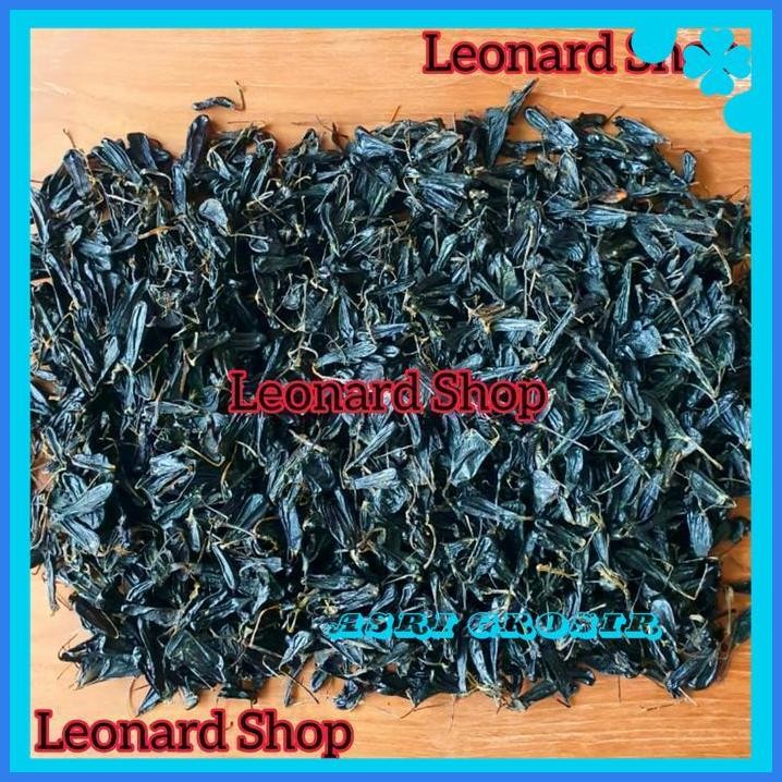 EMPEDU ULAR COBRA ASLI (HERBAL) KUALITAS TERBAIK