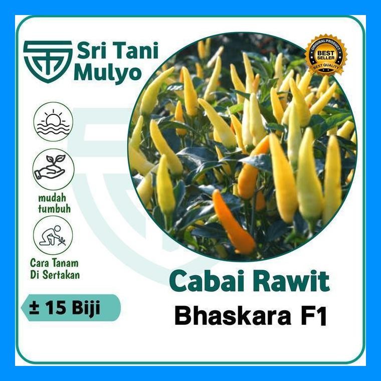 [Cod] - 15 Biji - Benih Cabai Rawit Unggul Bhaskara F1 - Cap Bisi - Bibit Sayuran Benih Sayuran Caba
