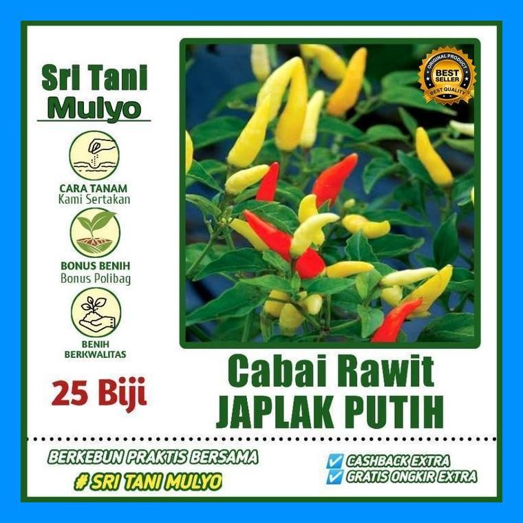 [Cod] - 25 Biji - Benih Cabai Rawit Unggul Japlak Putih - Bibit Sayuran Unggul