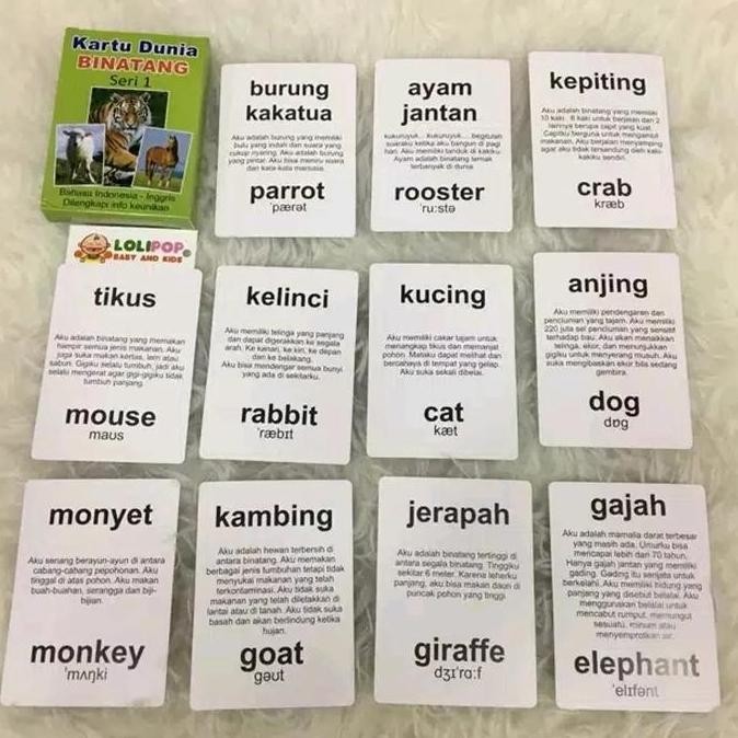 Kartu Binatang Seri 1 Flash Card Bayi Murah Hewan - Mainan Edukasi Ana