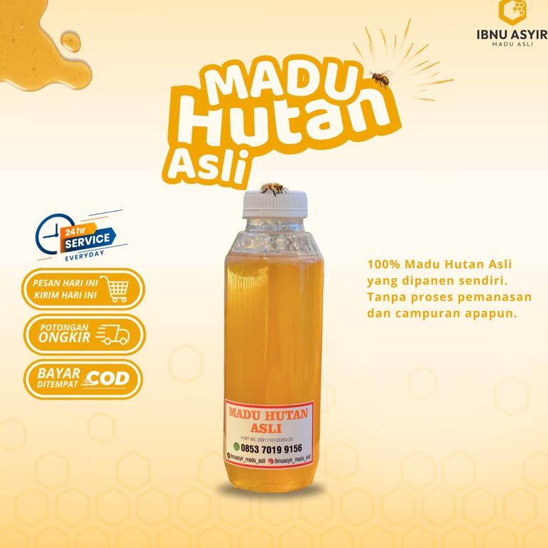 (Terbaru) Madu Hutan Asli Ibnu Asyir 500ml (600g) Meningkatkan Imunitas Tubuh Mejaga Kesehatan Lambu