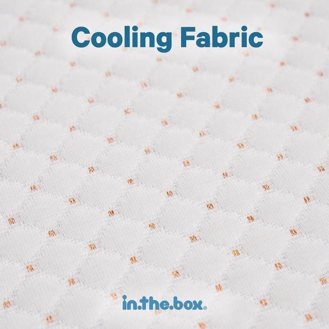 Kasur Dingin Spring Bed Orthopedic IN THE BOX Dash - FREE Bantal