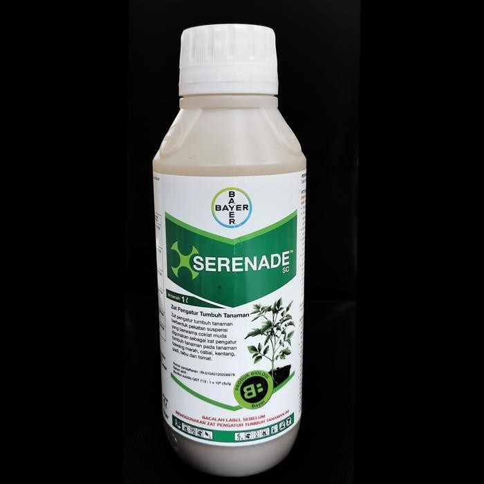 Serenade ZPT organik Bacillus subtilis Bayer PGPR