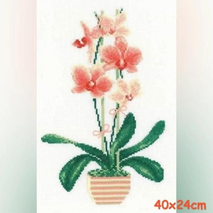 paket kristik bunga anggrek orchid peach orange