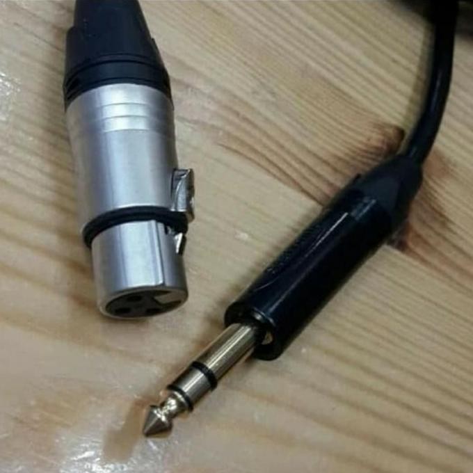 TERBARU - KABEL CANON FEMALE TO AKAY STEREO 10M