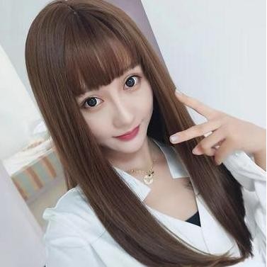 Wig - Rambut Palsu - Rambut Wanita Panjang Lurus Warna Natural coklat hitam