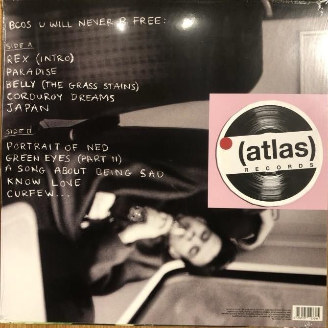 Vinyl / Piringan Hitam REX ORANGE COUNTY - Bcos U Will Never B Free Rare Koleksi Original