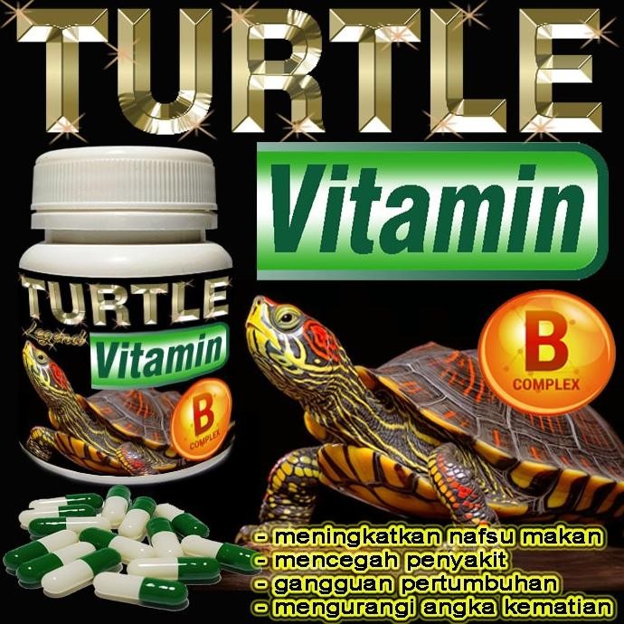 TURTLE VITAMIN BUBUK KAPSUL SUPLEMEN KESEHATAN KURA-KURA AIR BRAZIL RES CST AST DAMER KURA AMBON PIP