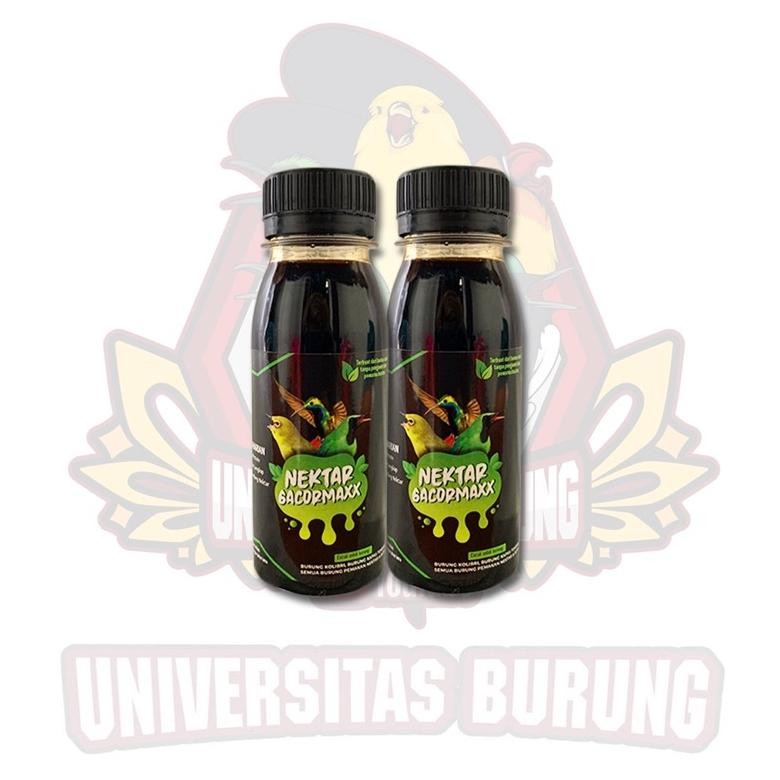 NEKTAR GACOR MAXX ORIGINAL