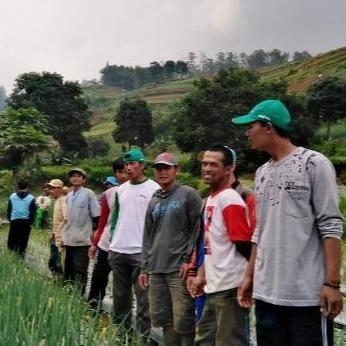 Promo Benih Daun Bawang Allium 1 Gr Unggul Cap Benih Prima Lebat Cod
