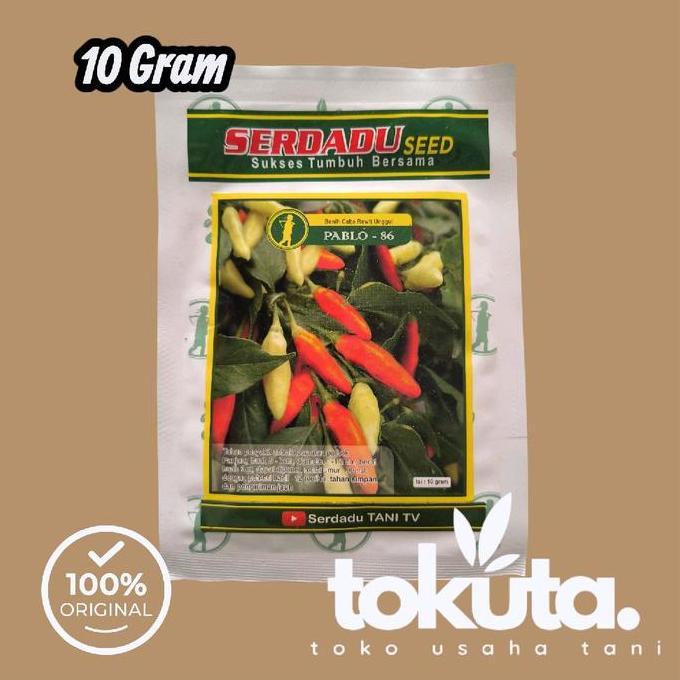 Promo Pablo 86 ( Pablo86 ) 10 Gram Benih Cabe Rawit Tahan Pathek/Antraknosa Serdadu Seed Cod