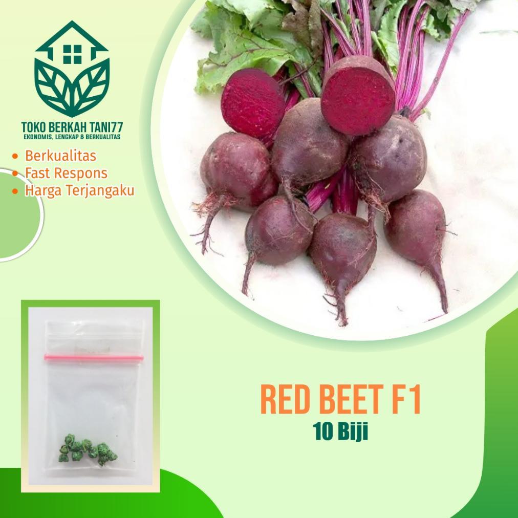 Benih Buah Organic Red Beet Buah Ubi Merah Beetroot Benih Buah-buahan Berkualitas
