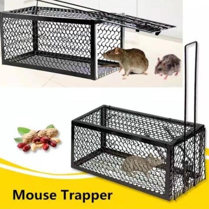 (LITTLE BEE) JEBAKAN TIKUS KANDANG BESI AUTOMATIC MOUSETRAP TANPA MENYIKSA PARMA BAIT MATERIAL BESI 