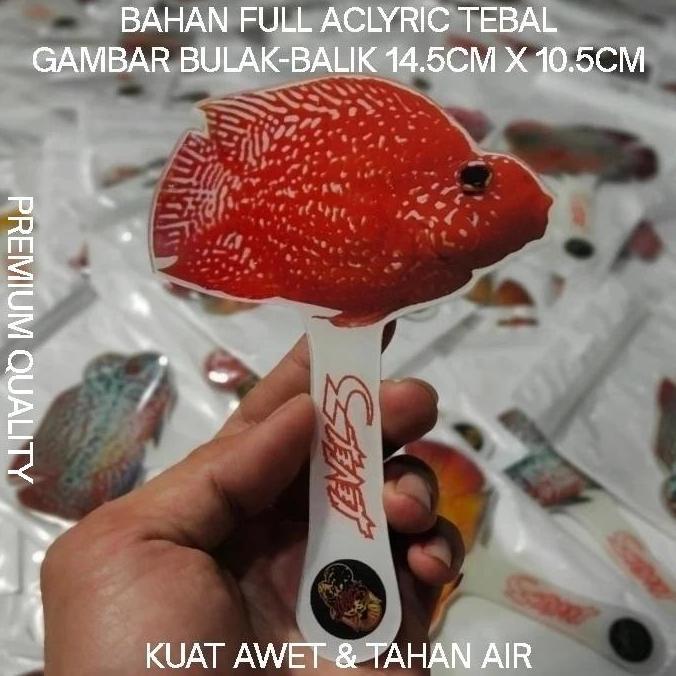 WAYANG LOUHAN UNTULAN IKAN PARROT ACLIRIC TEBAL BESAR